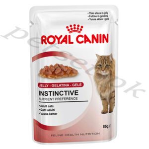 Royal Canin Adult Jelly