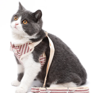 Cat And Small Dog Harness