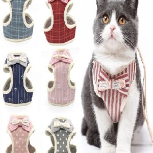 Cat And Small Dog Harness