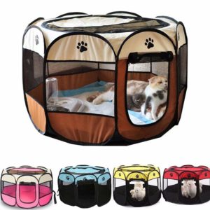 Cat And Puppy Kennel