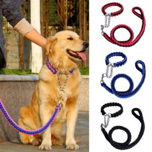 p dog leash 2