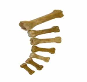 bone 1