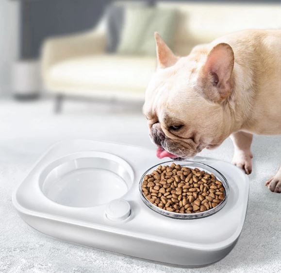 Frenchie World Feeding Bowl With Automatic Water Dispenser Pet Set