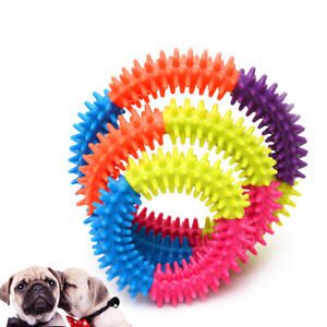 Dog Toy Multi Colour Ring