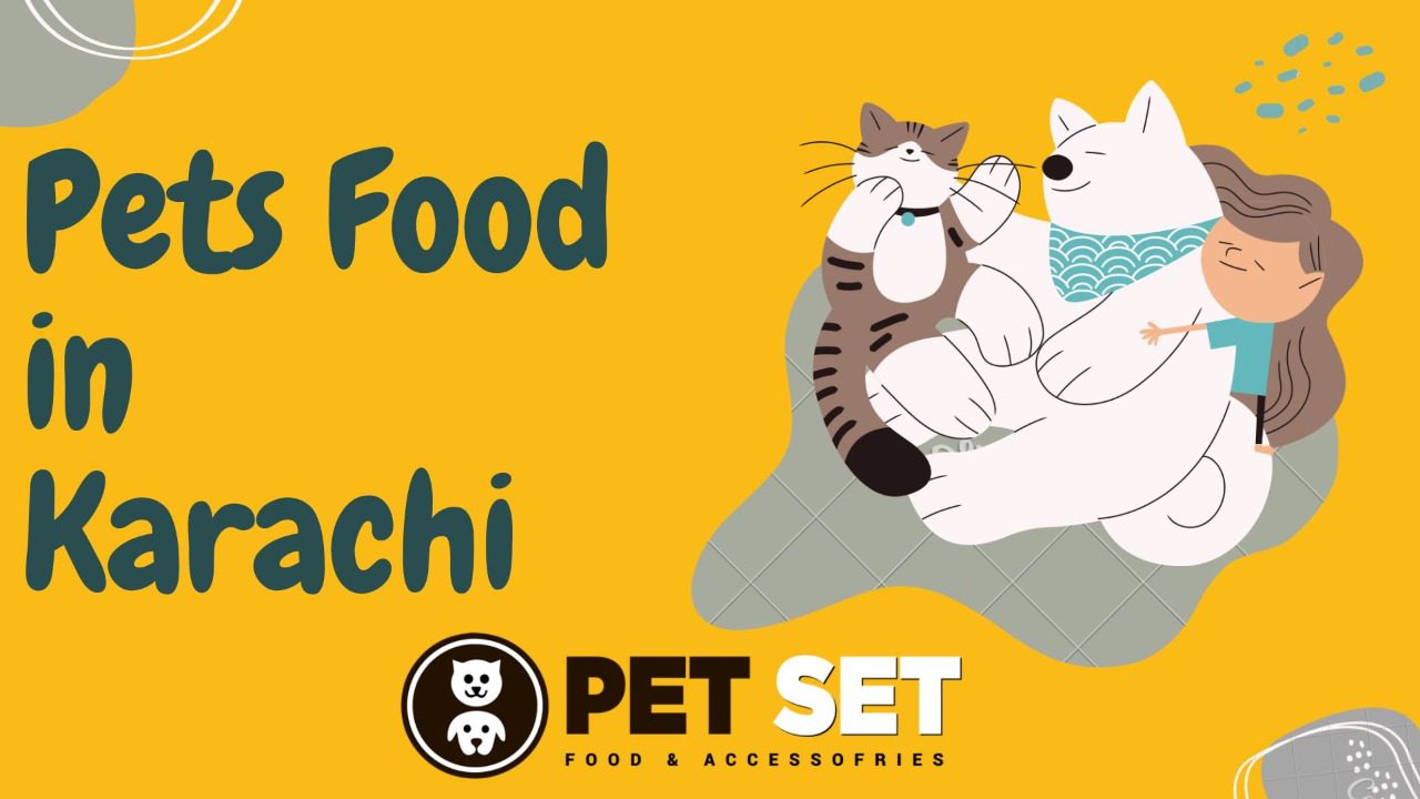 Read more about the article Pets Food in Karachi