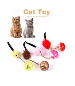 Cat Toy $