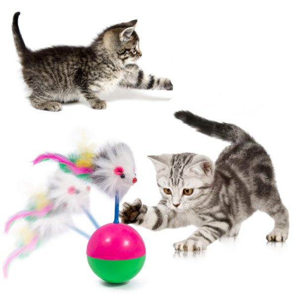 cat ball toy 1