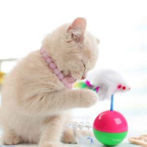 cat ball toy 2