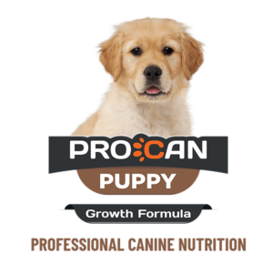 Procan Puppy