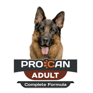 Procan Adult