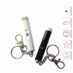 Laser Pointer Funny Cat Toy