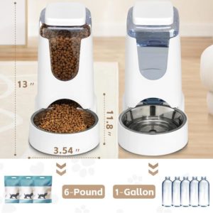 Automatic Cat Food & Water Dispenser