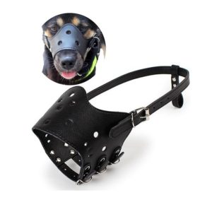 Dog Muzzle Leather